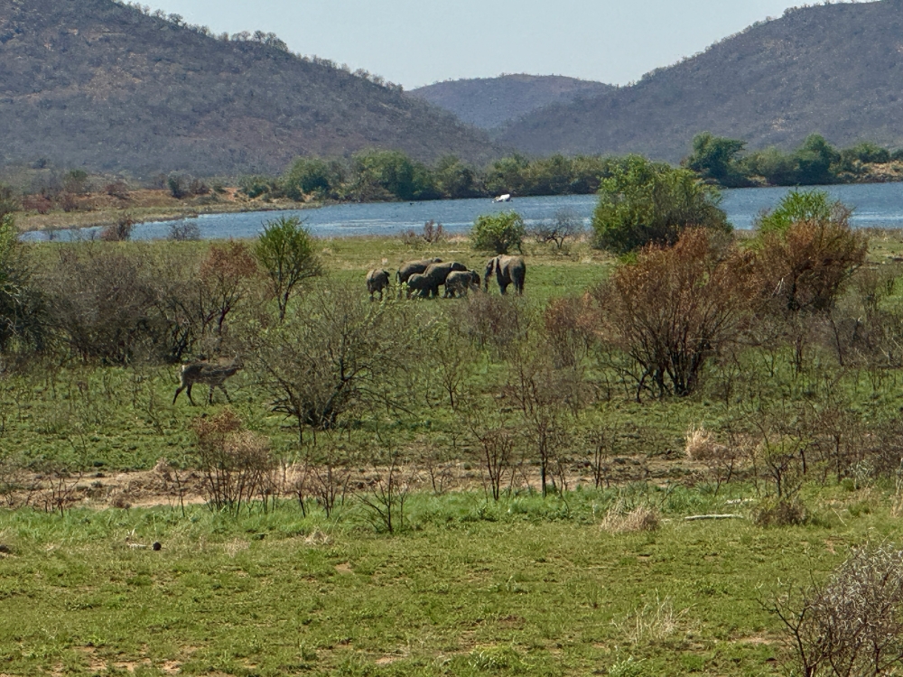 Pilanesberg