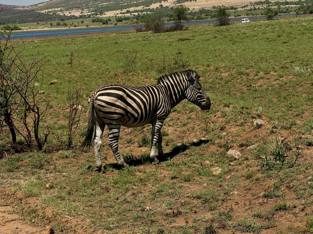 Pilanesberg