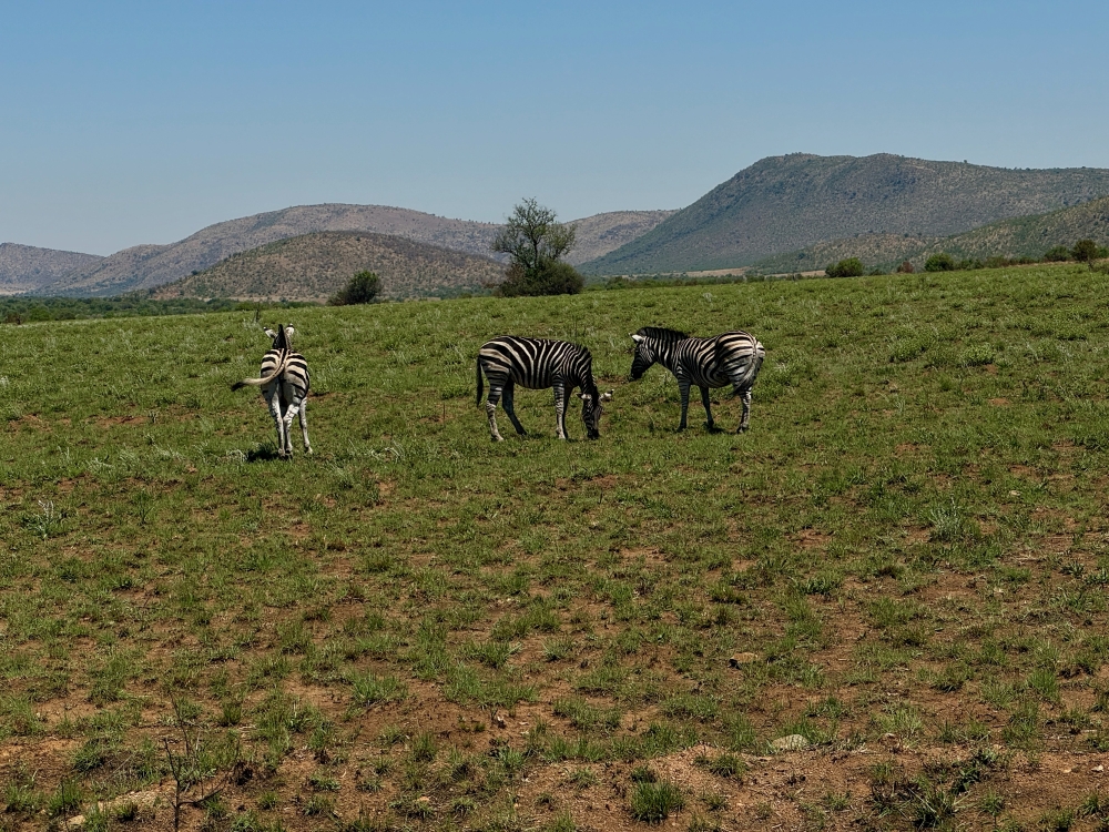 Pilanesberg