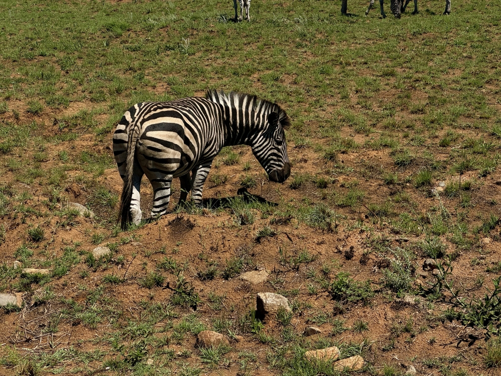 Pilanesberg