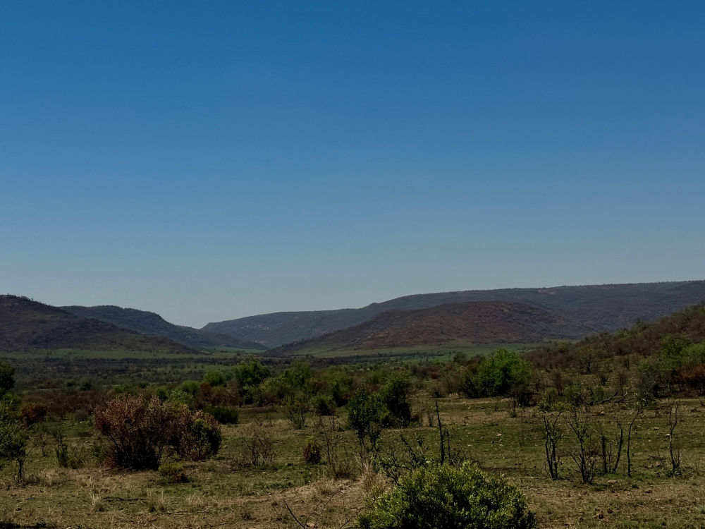 Pilanesberg