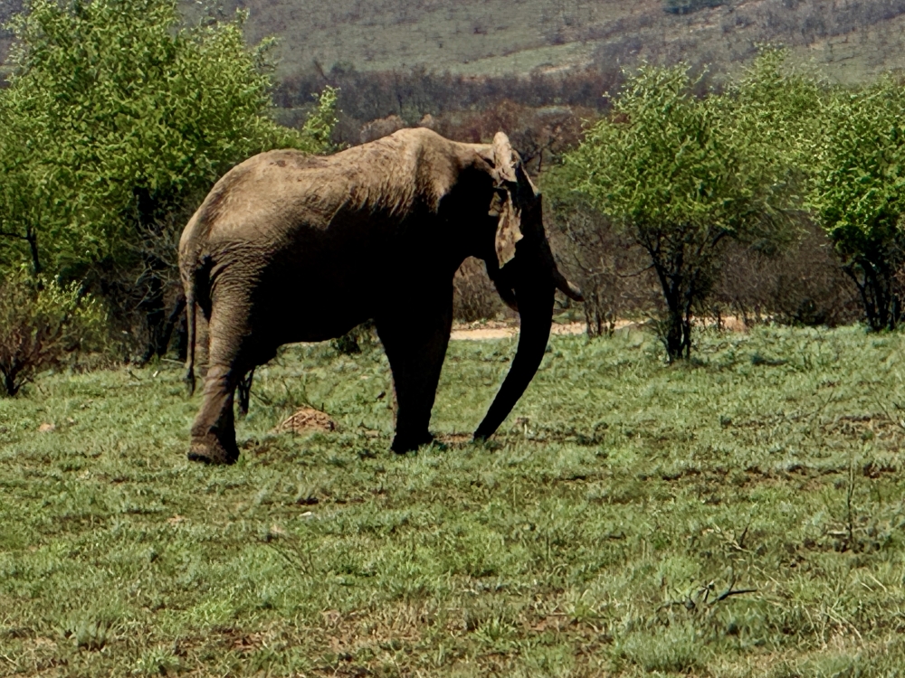 Pilanesberg