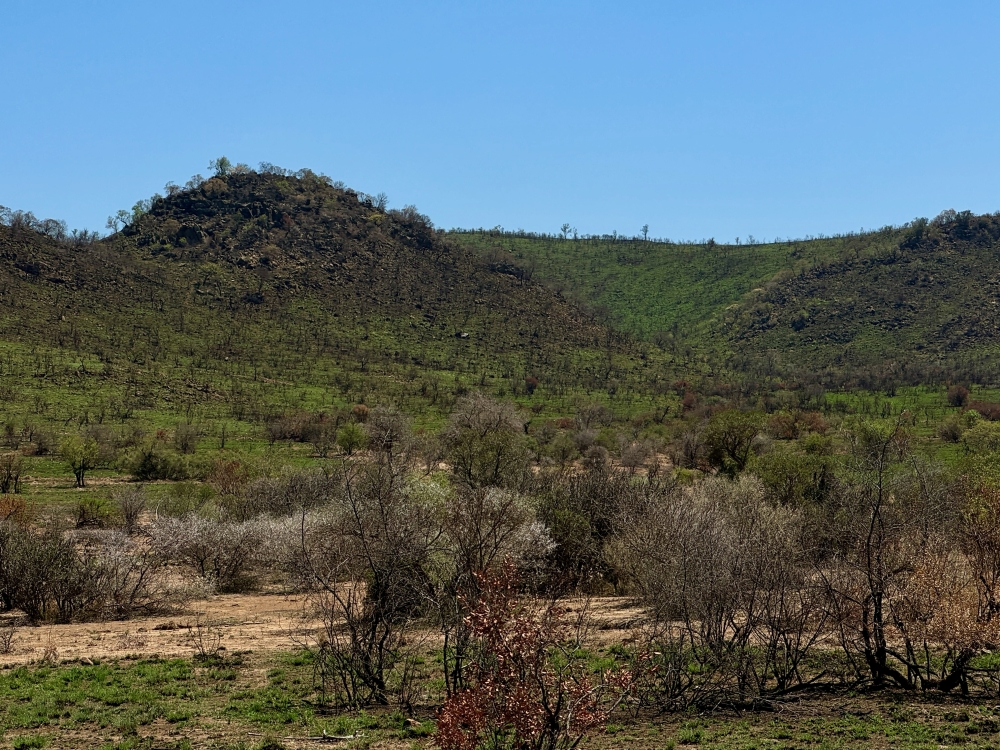 Pilanesberg