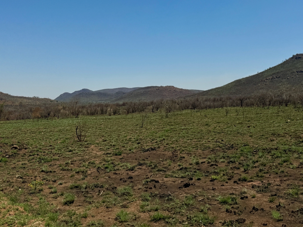 Pilanesberg