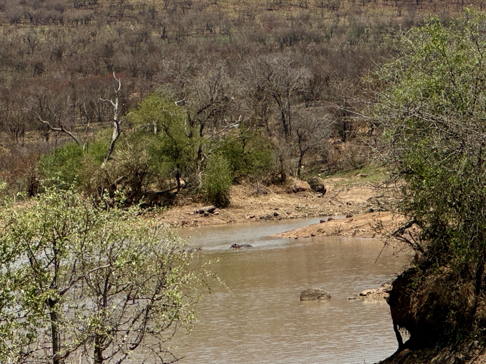 Pilanesberg