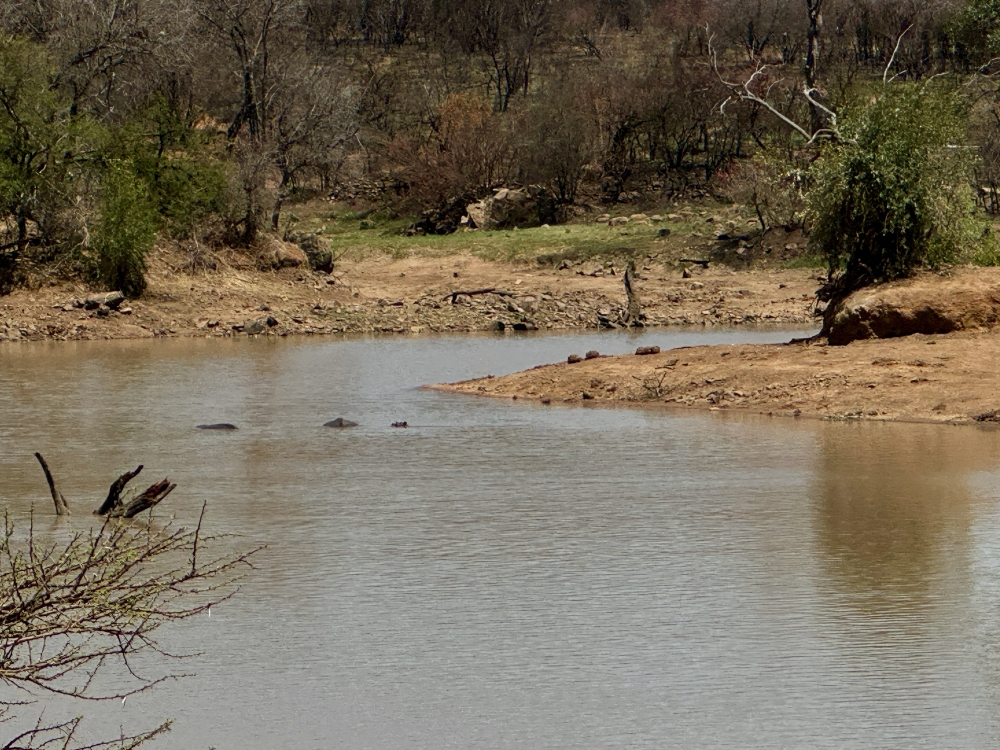 Pilanesberg