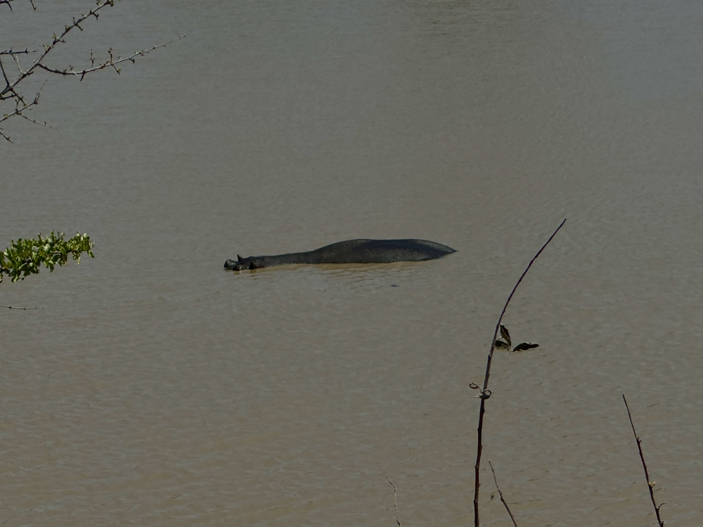 Pilanesberg