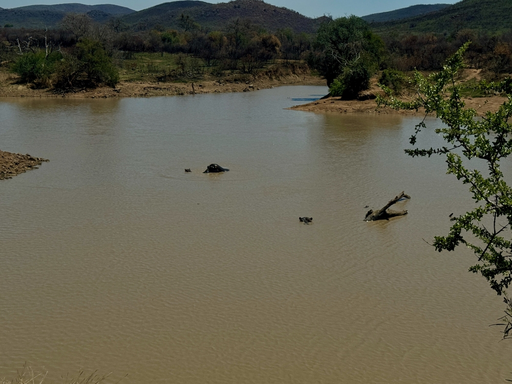 Pilanesberg