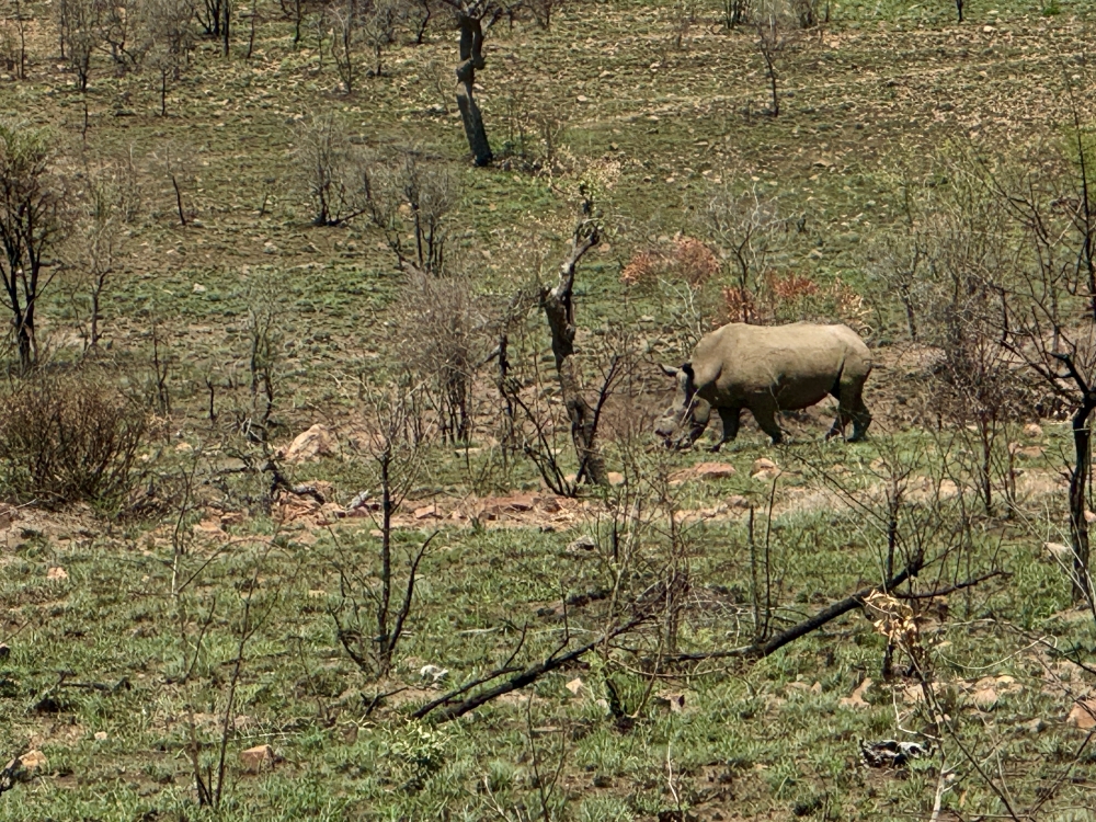 Pilanesberg