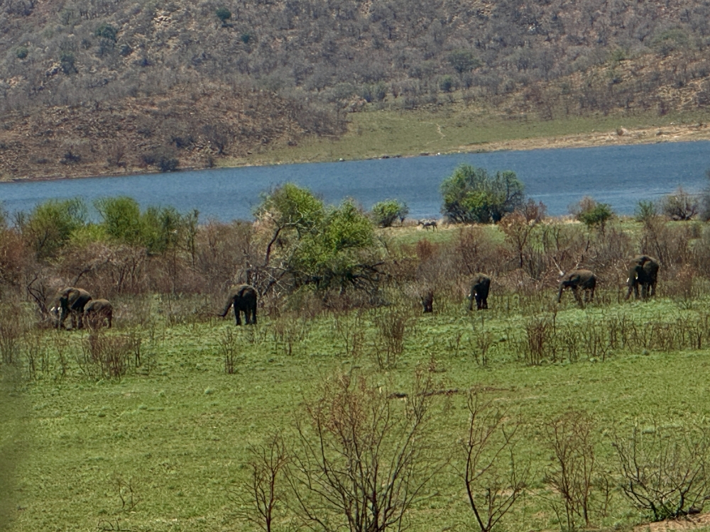 Pilanesberg