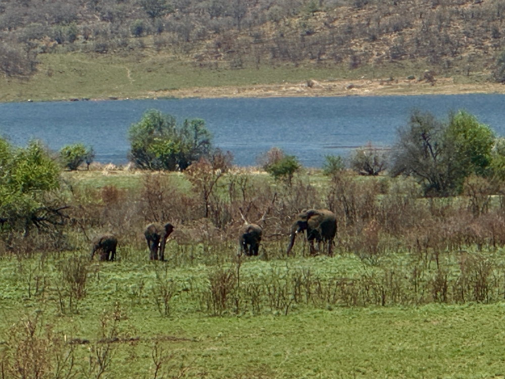 Pilanesberg