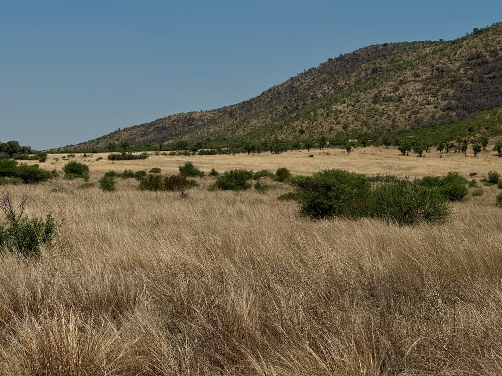 Pilanesberg