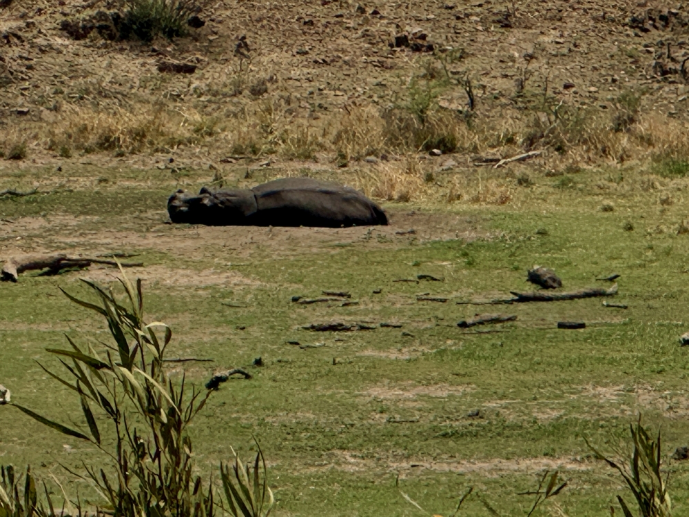 Pilanesberg