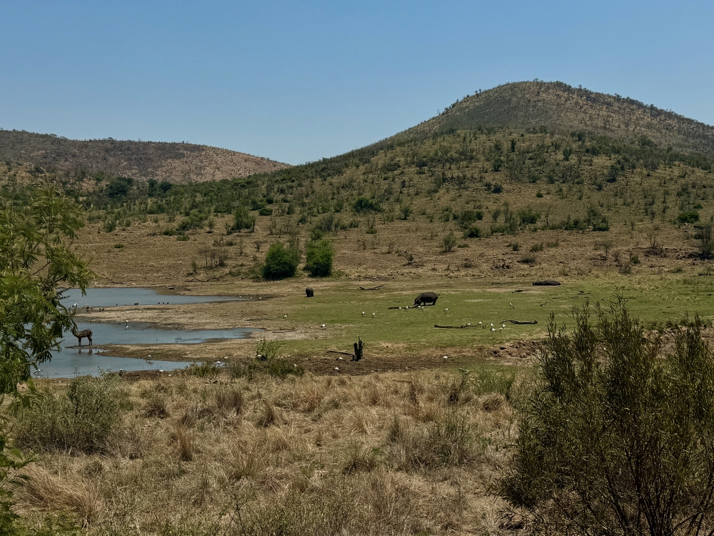 Pilanesberg
