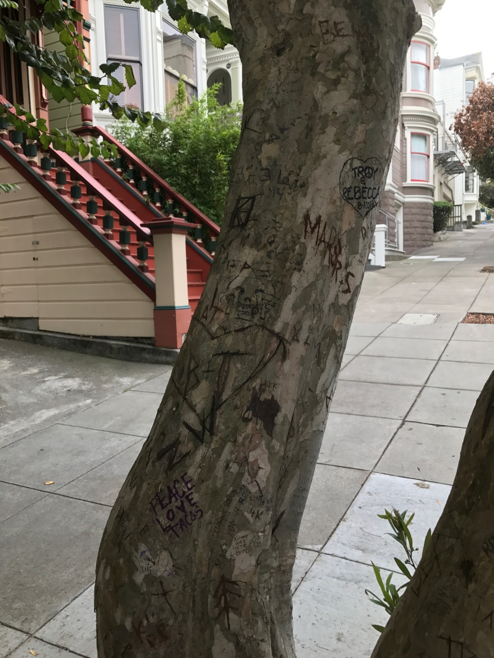 San Francisco