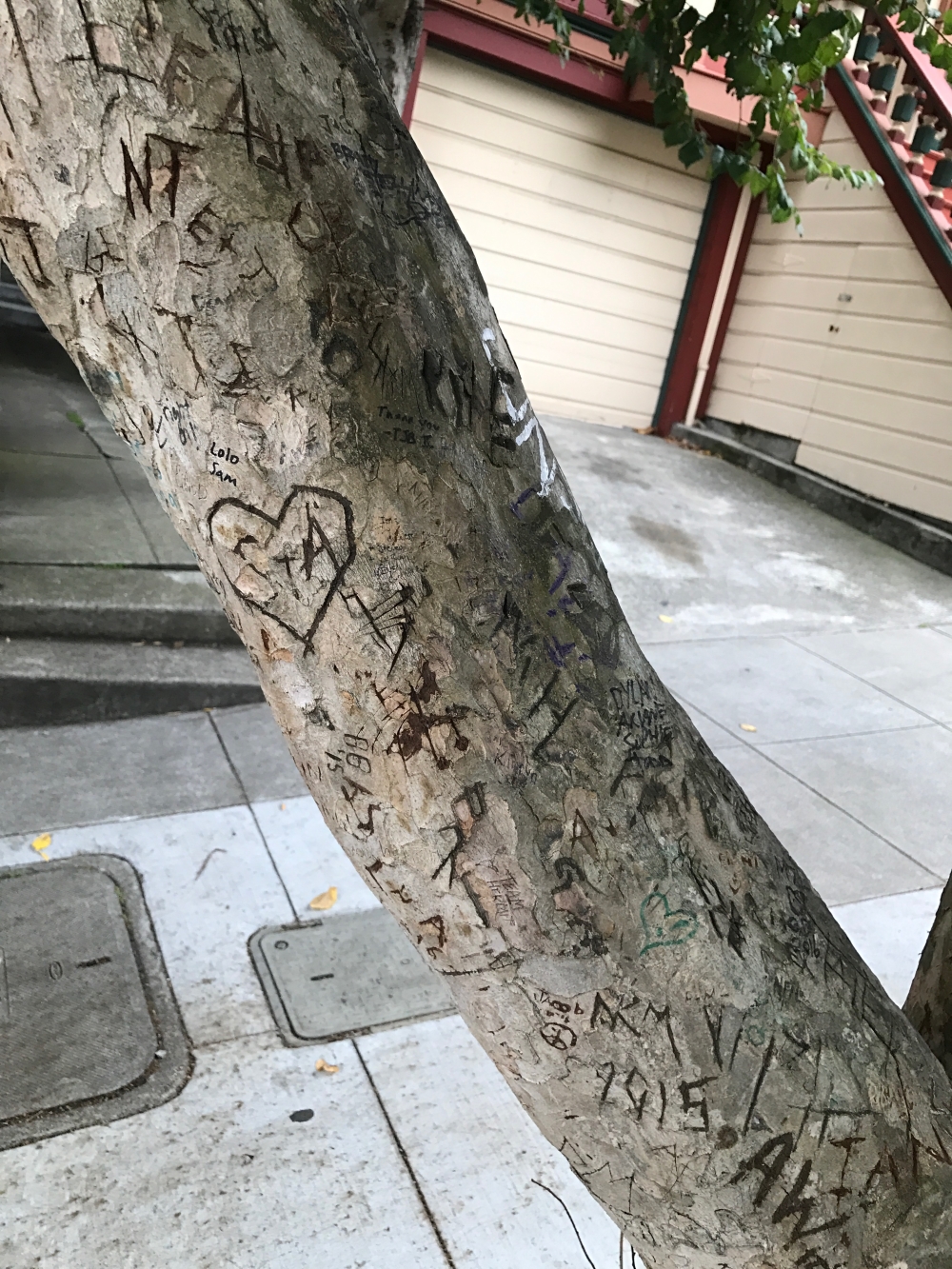 San Francisco