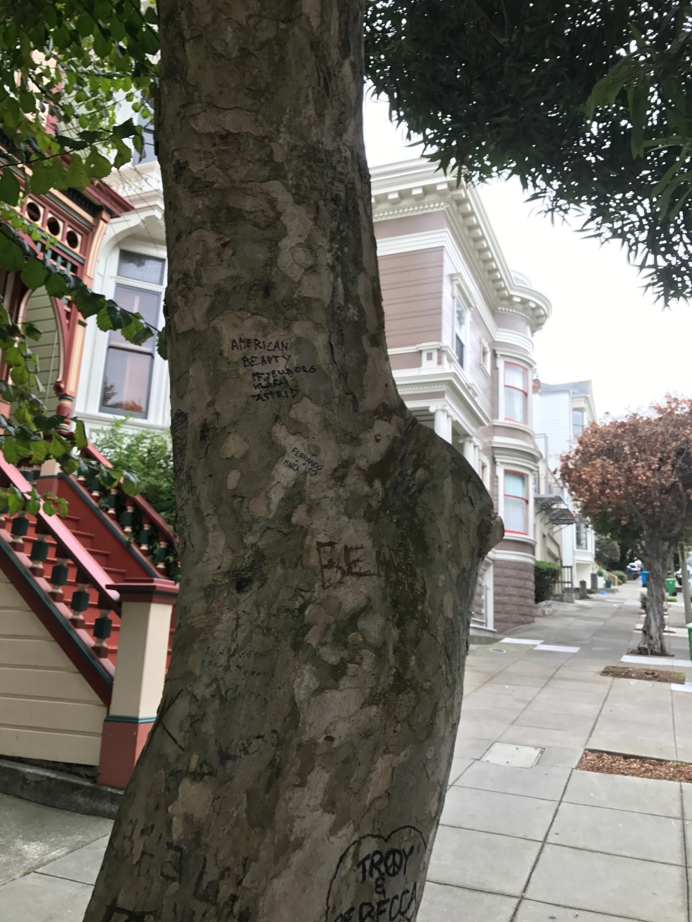 San Francisco