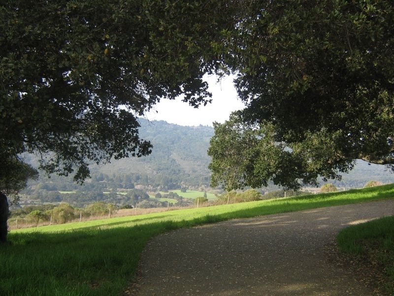 San Francisco