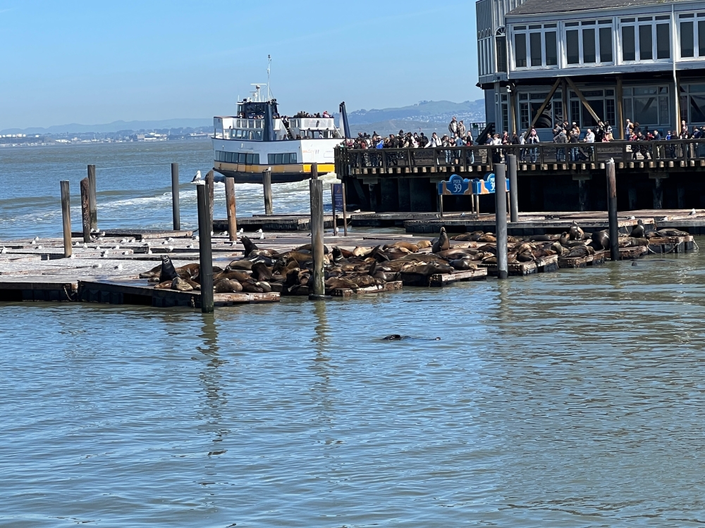 San Francisco