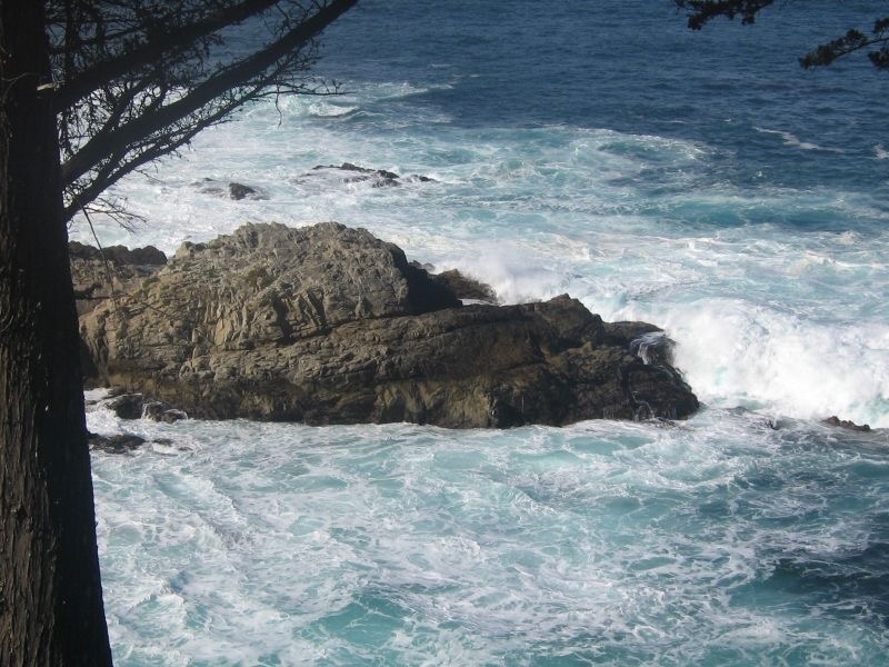 Santa Barbara