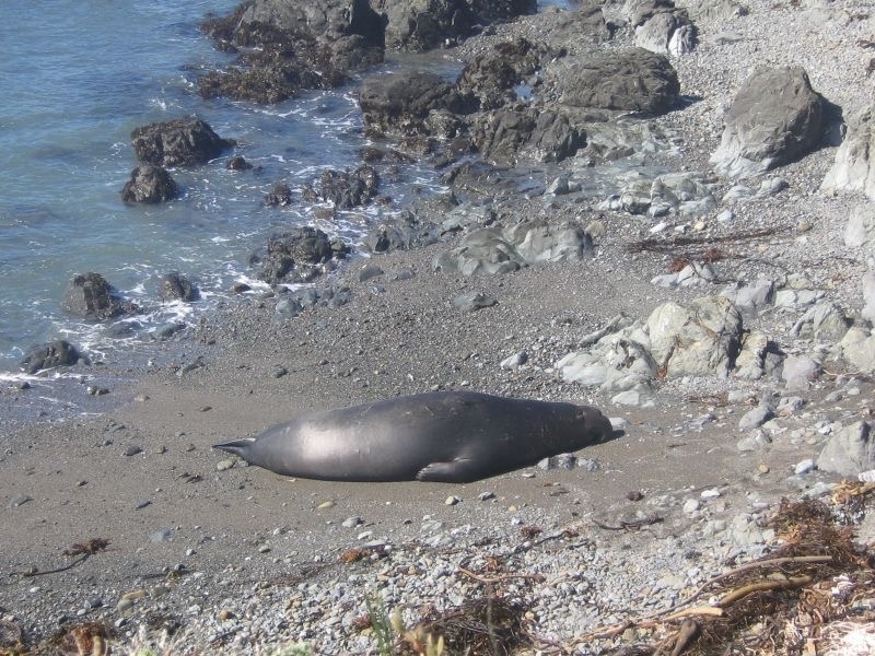 Santa Barbara