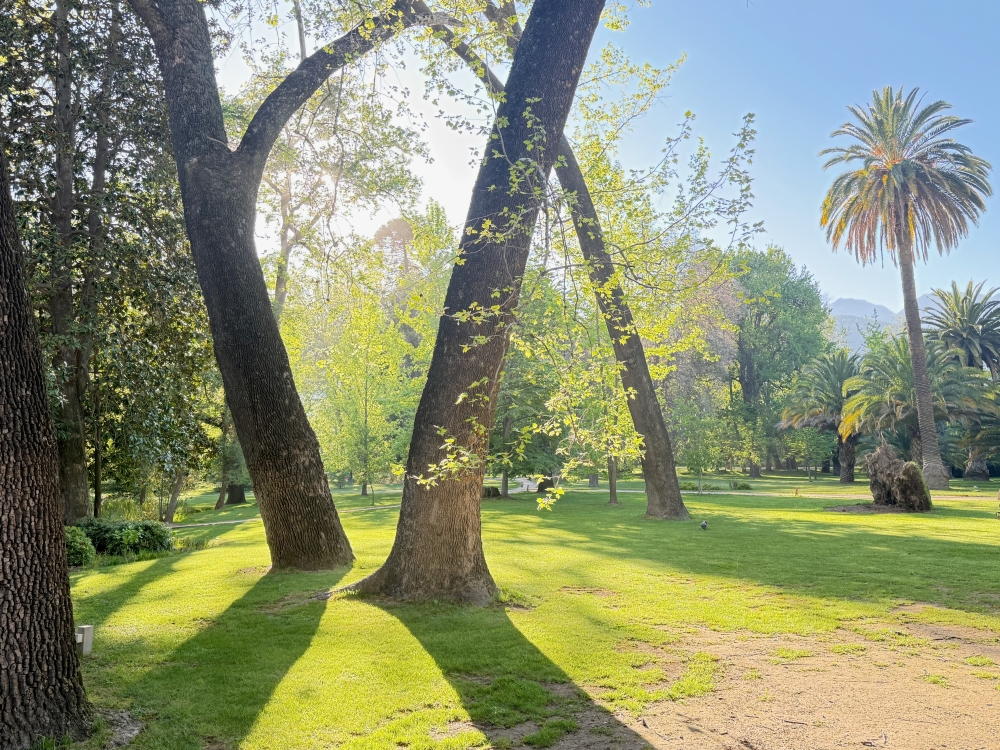 Santiago