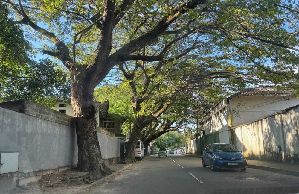 Sri Lanka
