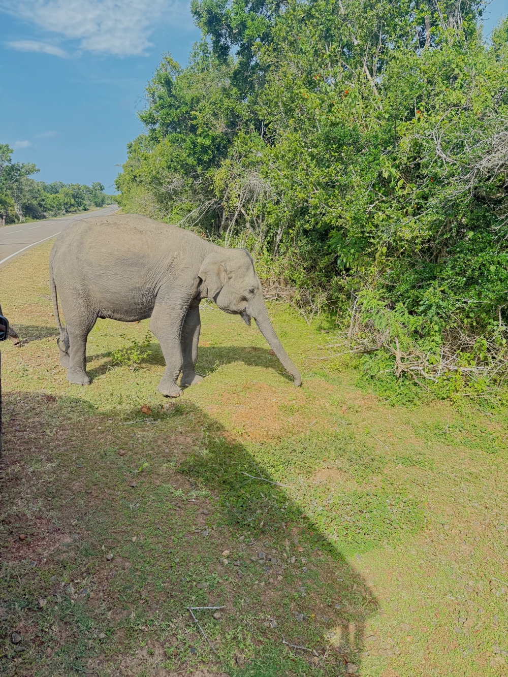 Sri Lanka