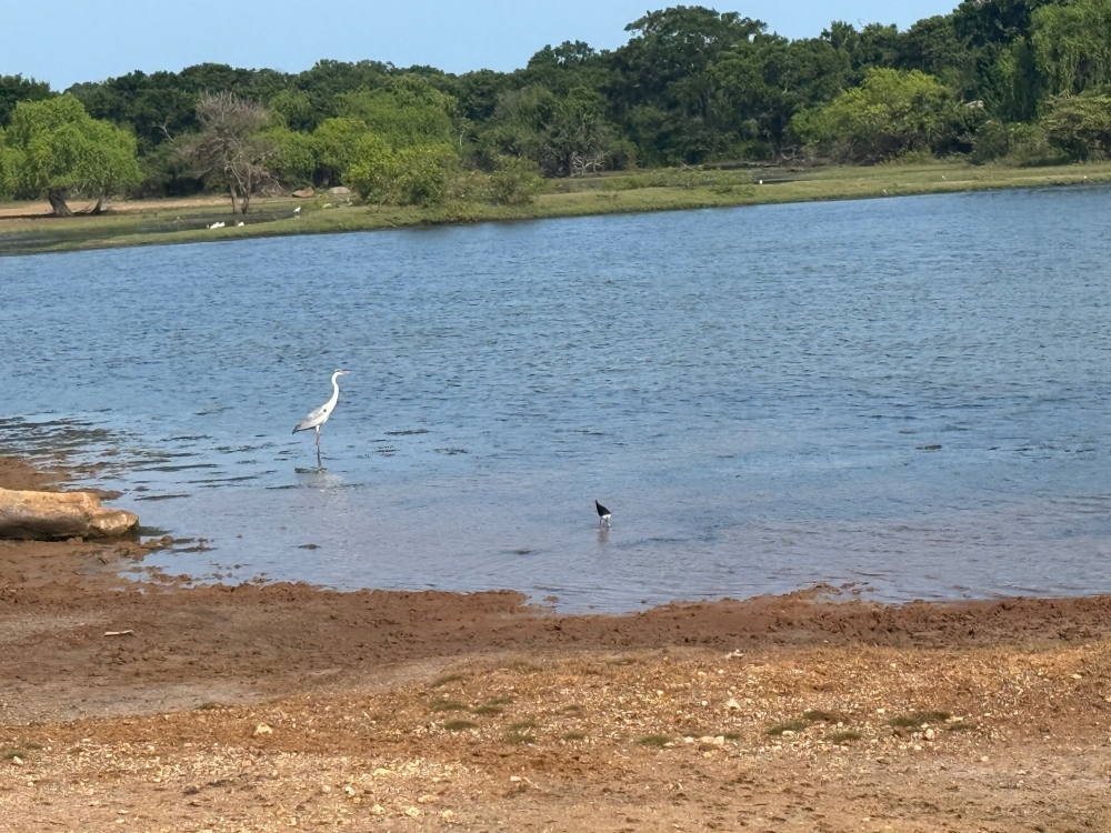 Sri Lanka