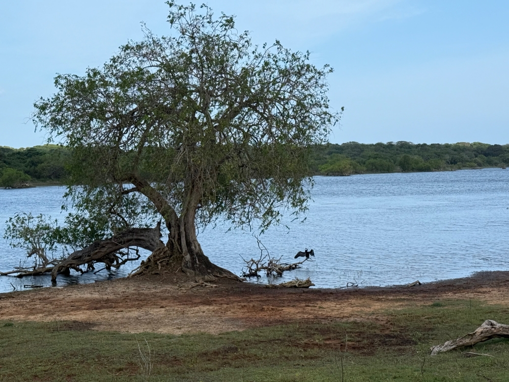 Sri Lanka