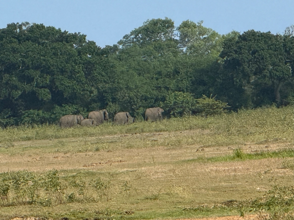 Sri Lanka