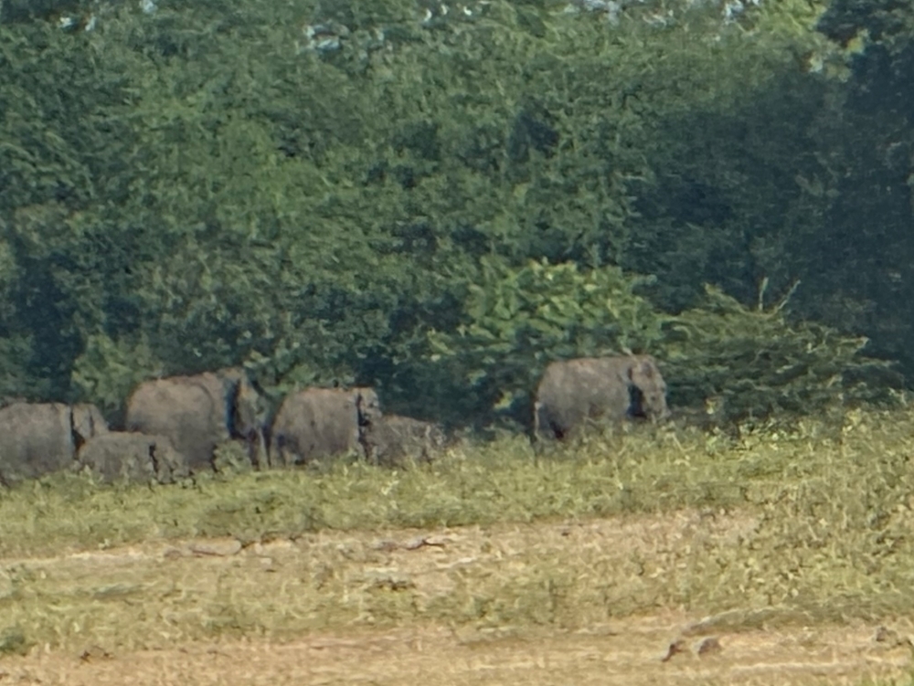 Sri Lanka