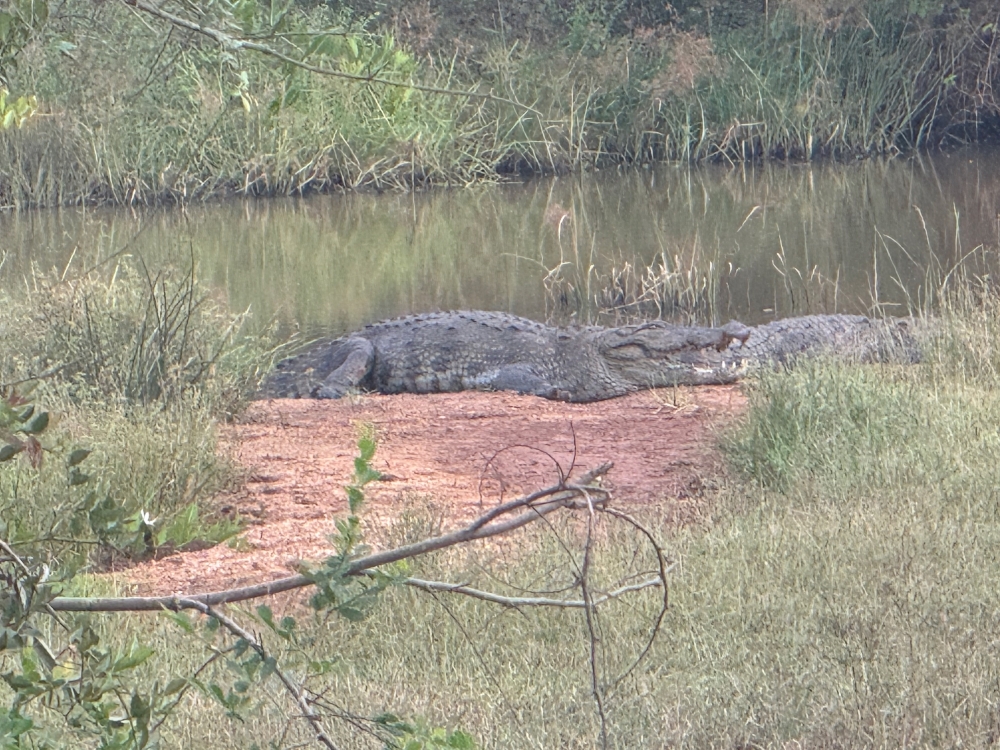 Sri Lanka