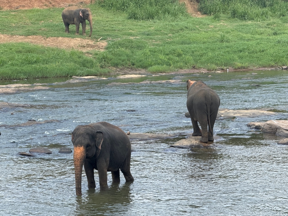 Sri Lanka