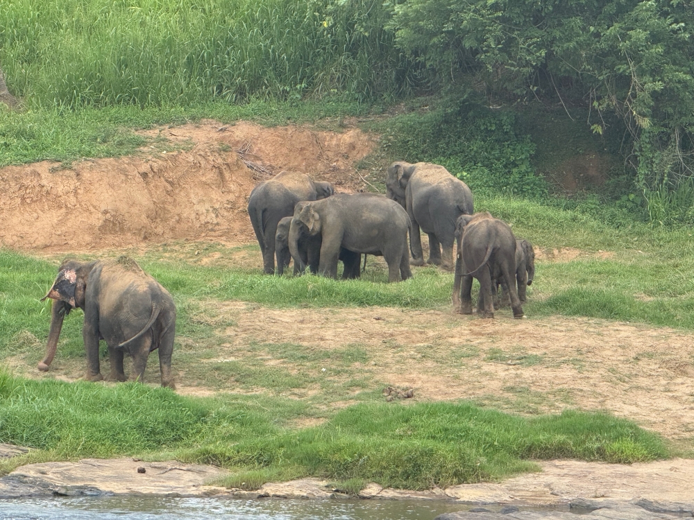 Sri Lanka