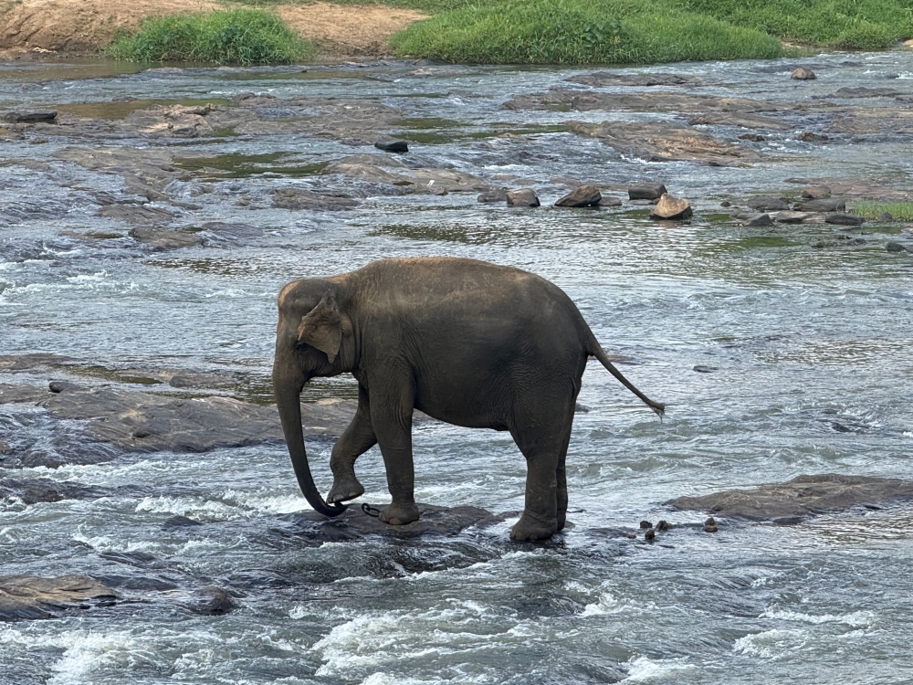 Sri Lanka