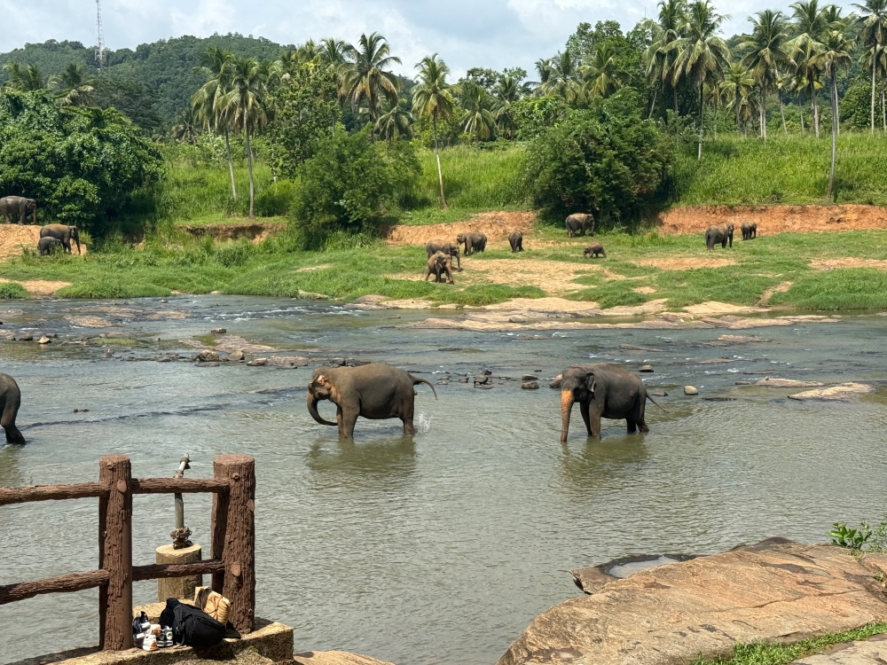Sri Lanka