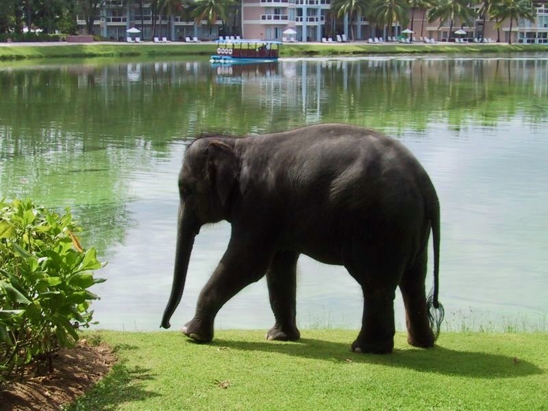 Thailand