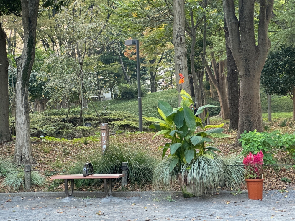 Tokyo