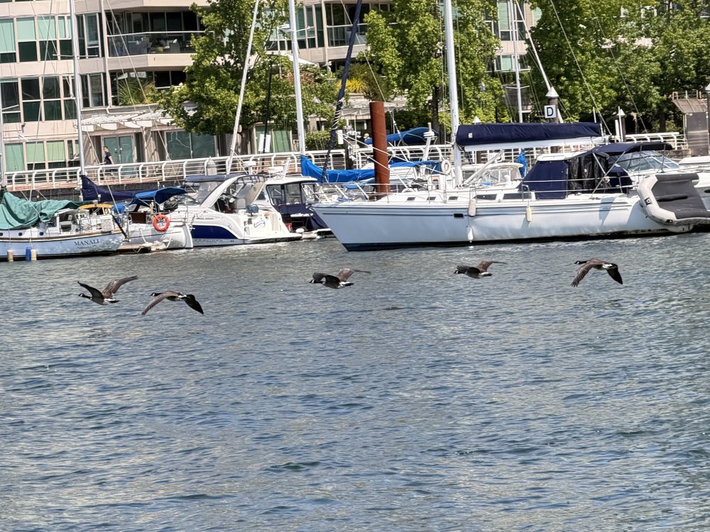 Vancouver