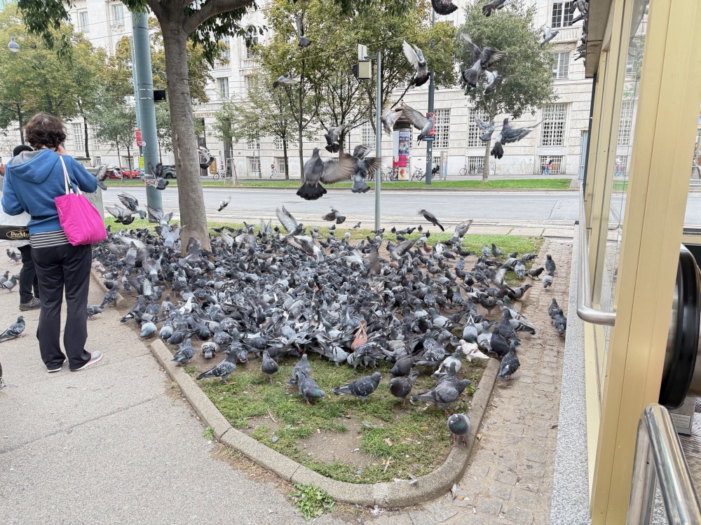 Vienna