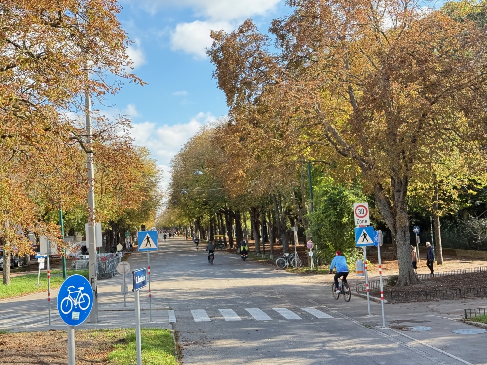 Vienna