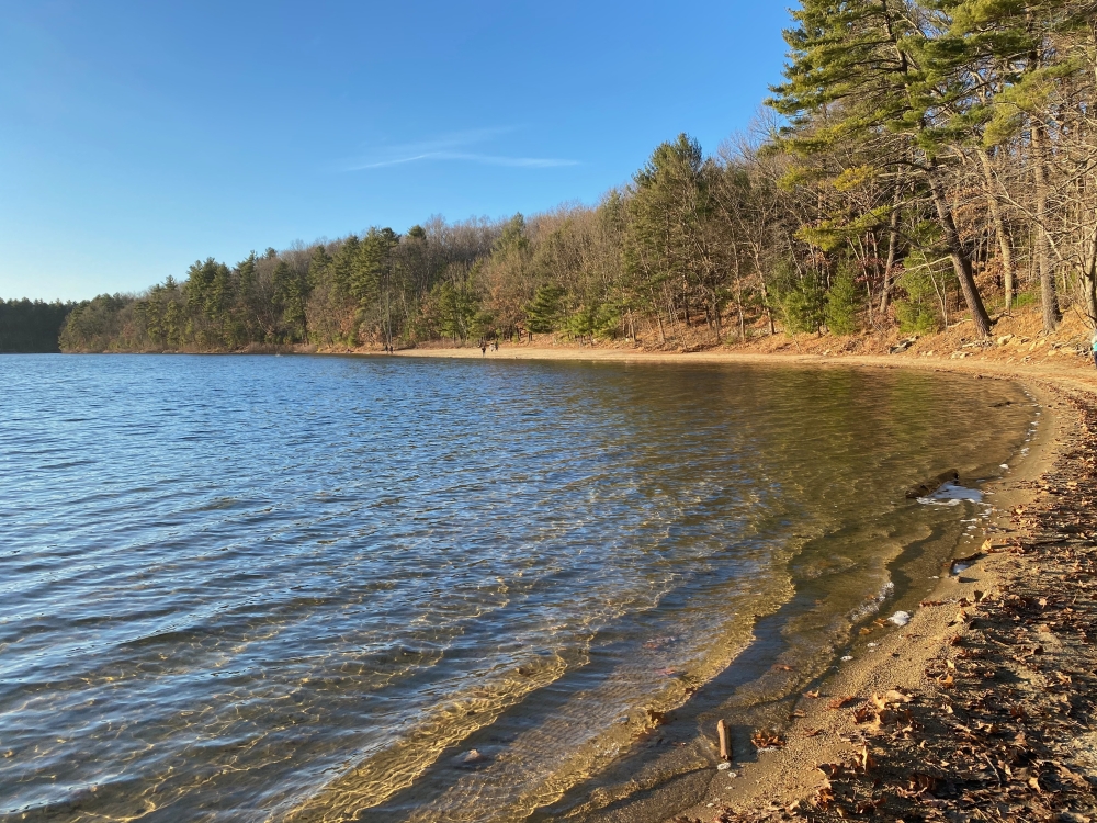 Walden Pond