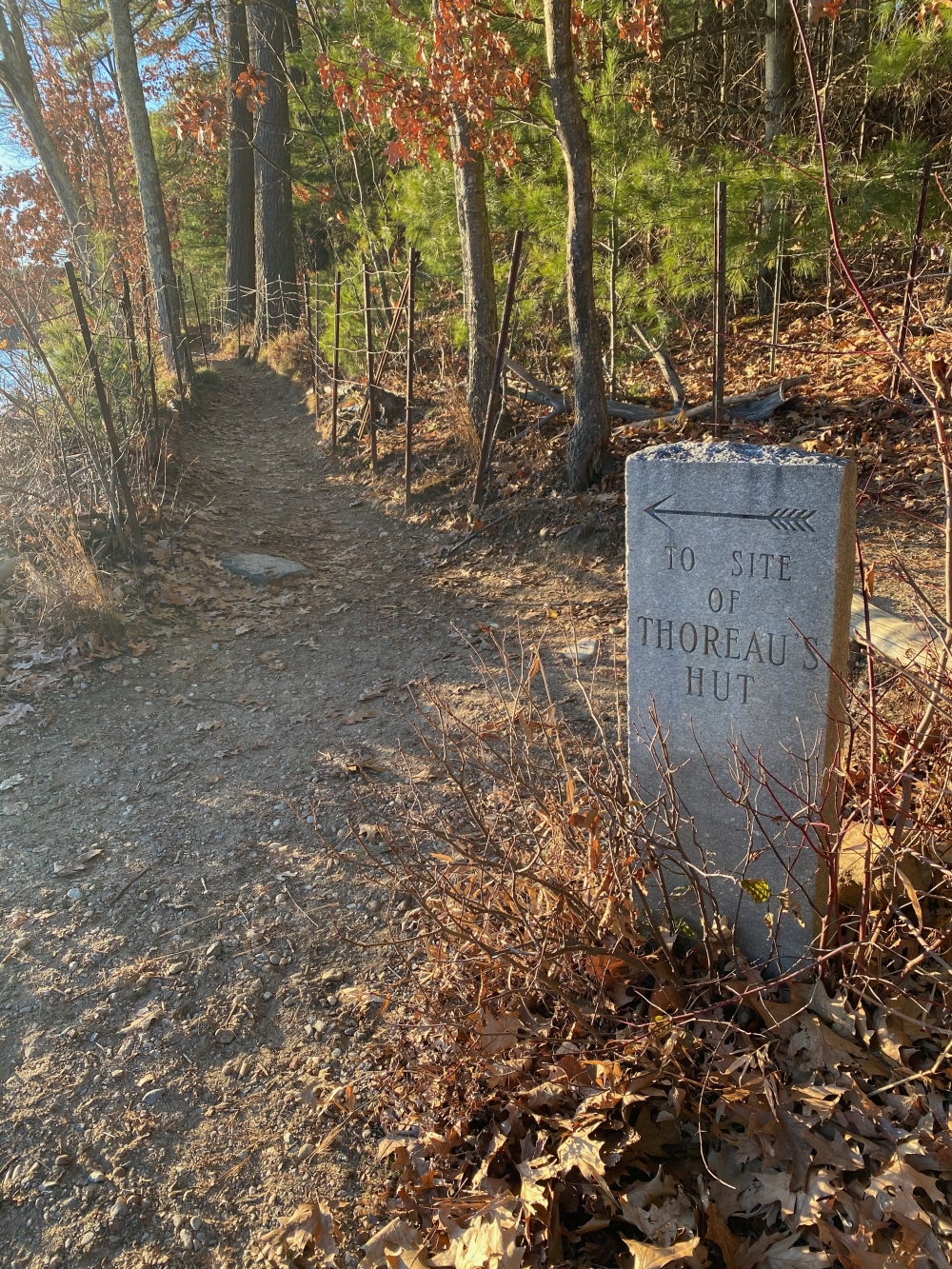 Walden Pond