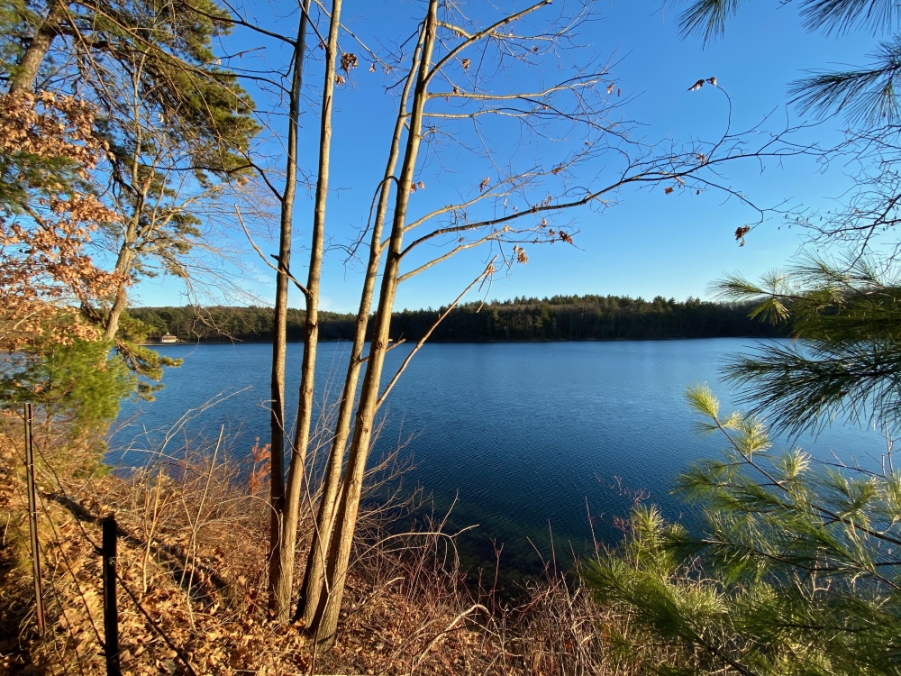 Walden Pond