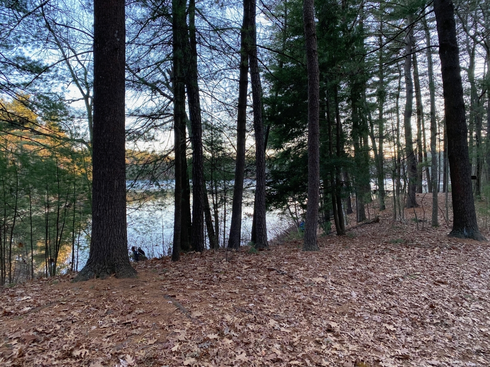Walden Pond