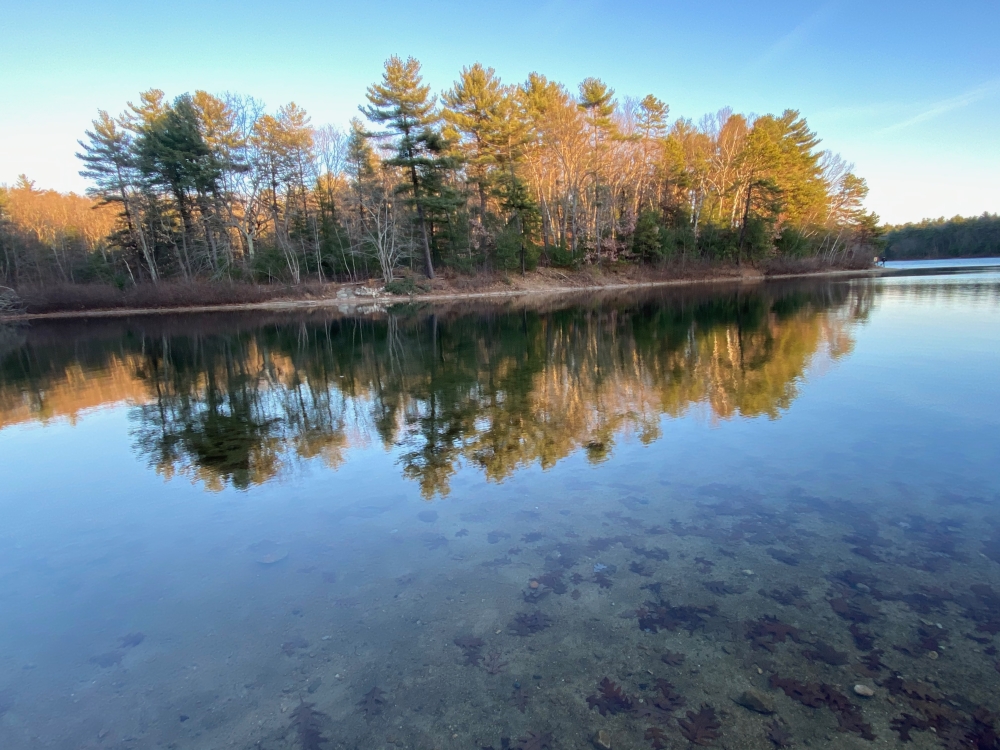 Walden Pond