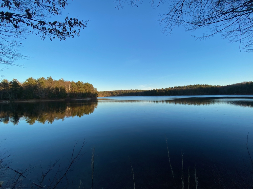 Walden Pond