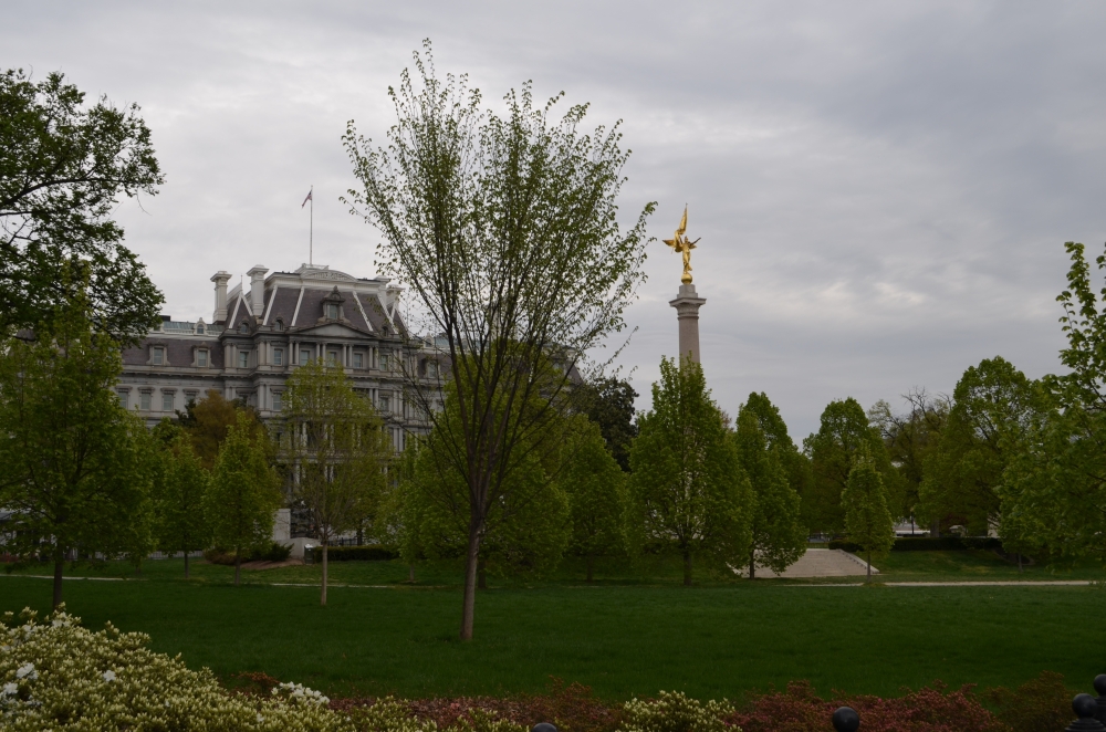 Washington DC