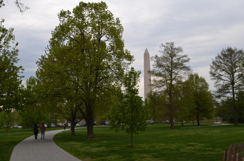 Washington DC